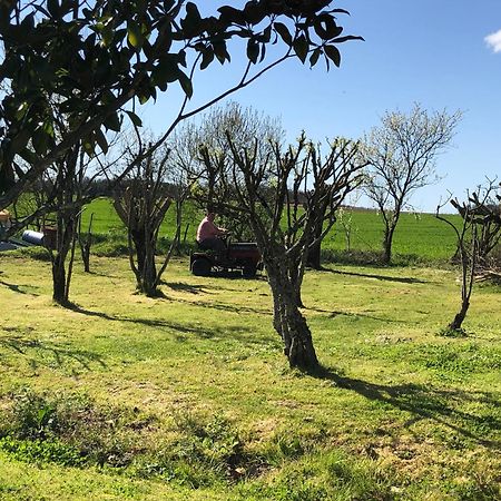 Les Geais Bed & Breakfast Saint-Pierre-la-Noue Bagian luar foto
