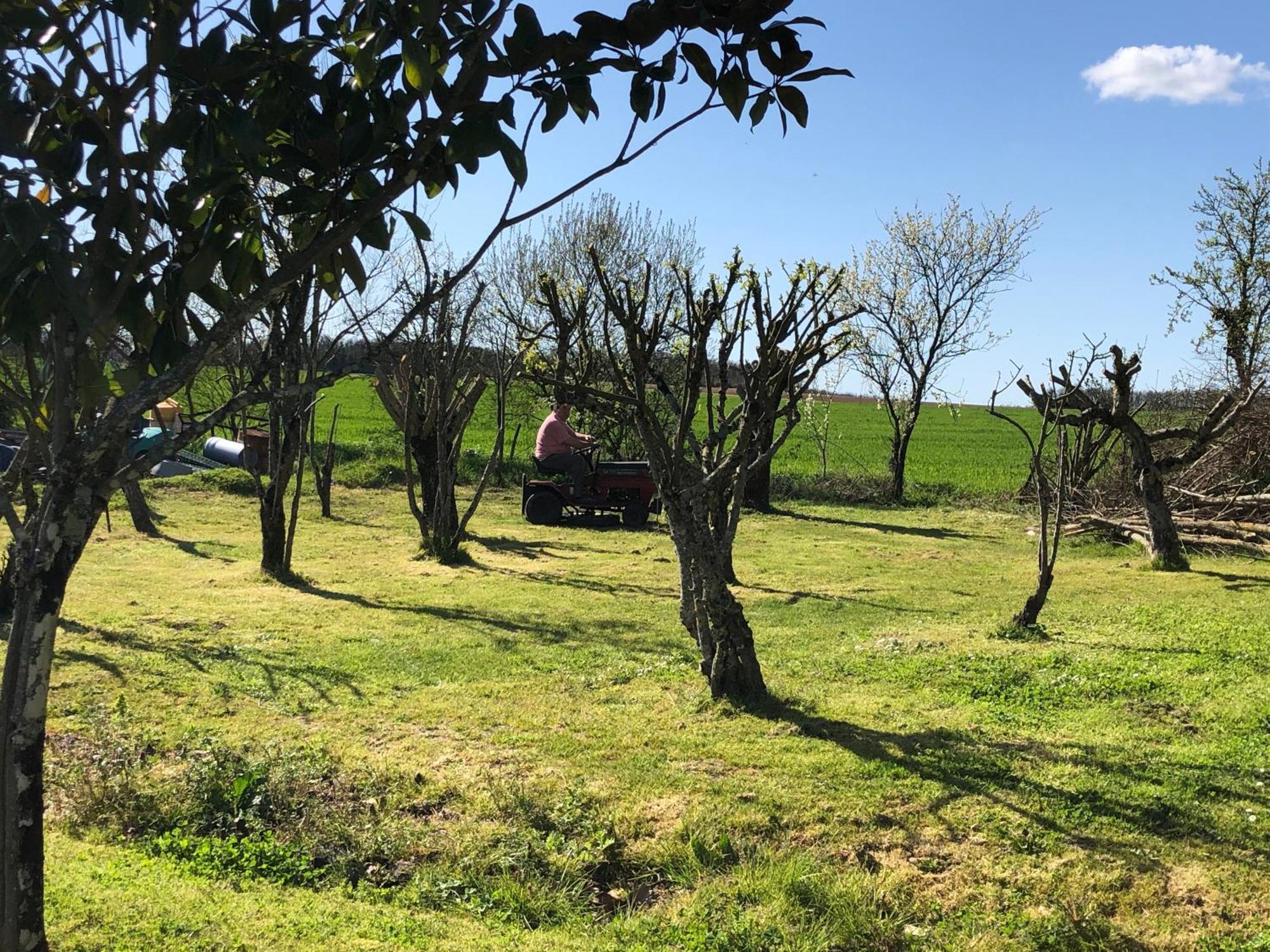 Les Geais Bed & Breakfast Saint-Pierre-la-Noue Bagian luar foto